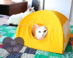 Clip Art - DIY-Cat-Tent-from-an-Old-T-Shirt-1